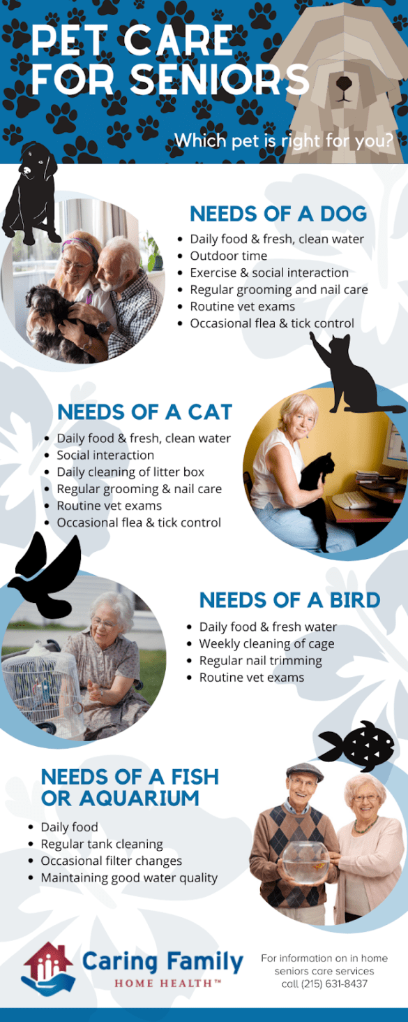 Pet Care For Seniors - Caring Family Health