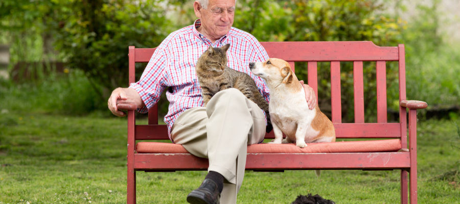 old man with pets